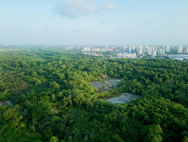 Vivre sans plastique : Comment atteindre cet objectif audacieux ?